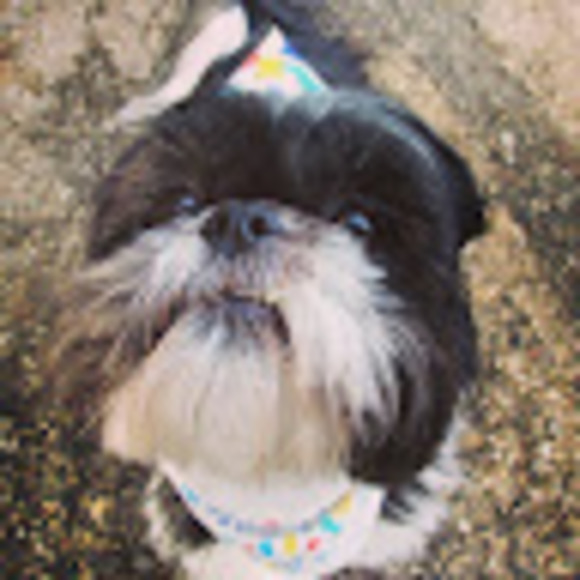 Meet your Posher, Jessica - Picture 1 of 1